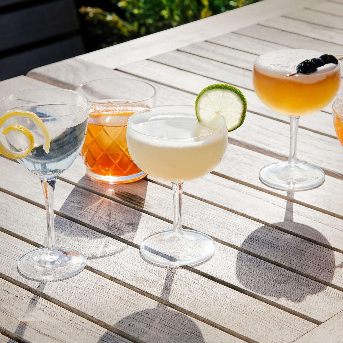 Copas de Acrílico Leopold Cantina Tuls