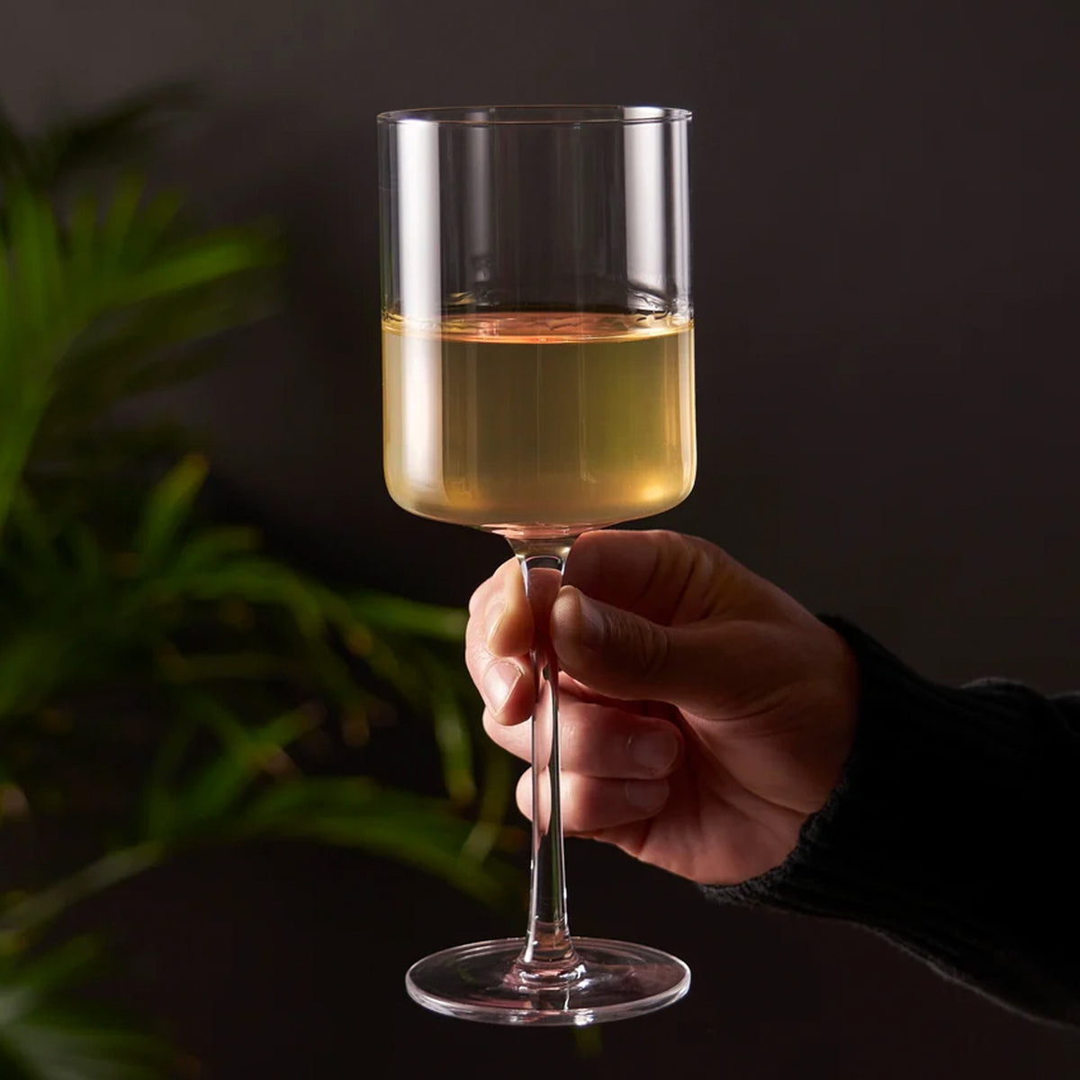 Copas para Vino Blanco, Laurel