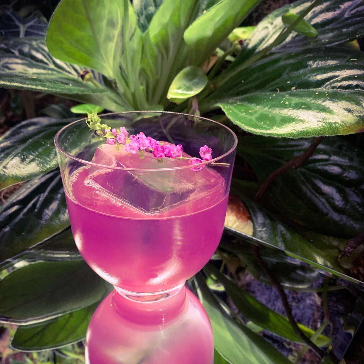 Vasos Lowball Hepburn