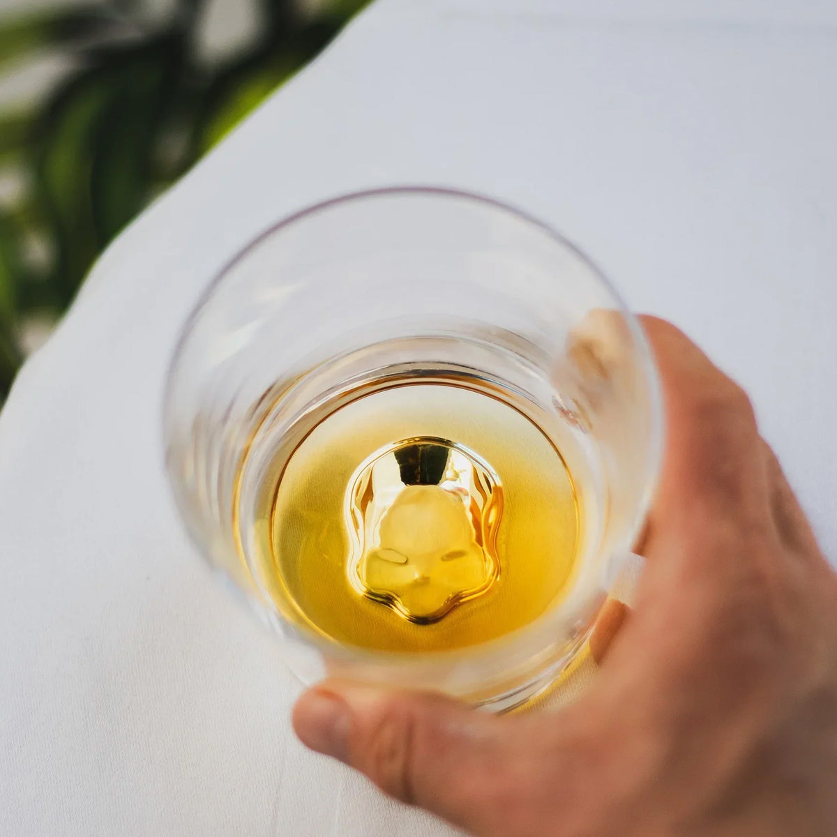 Vasos Old Fashioned Memento Mori