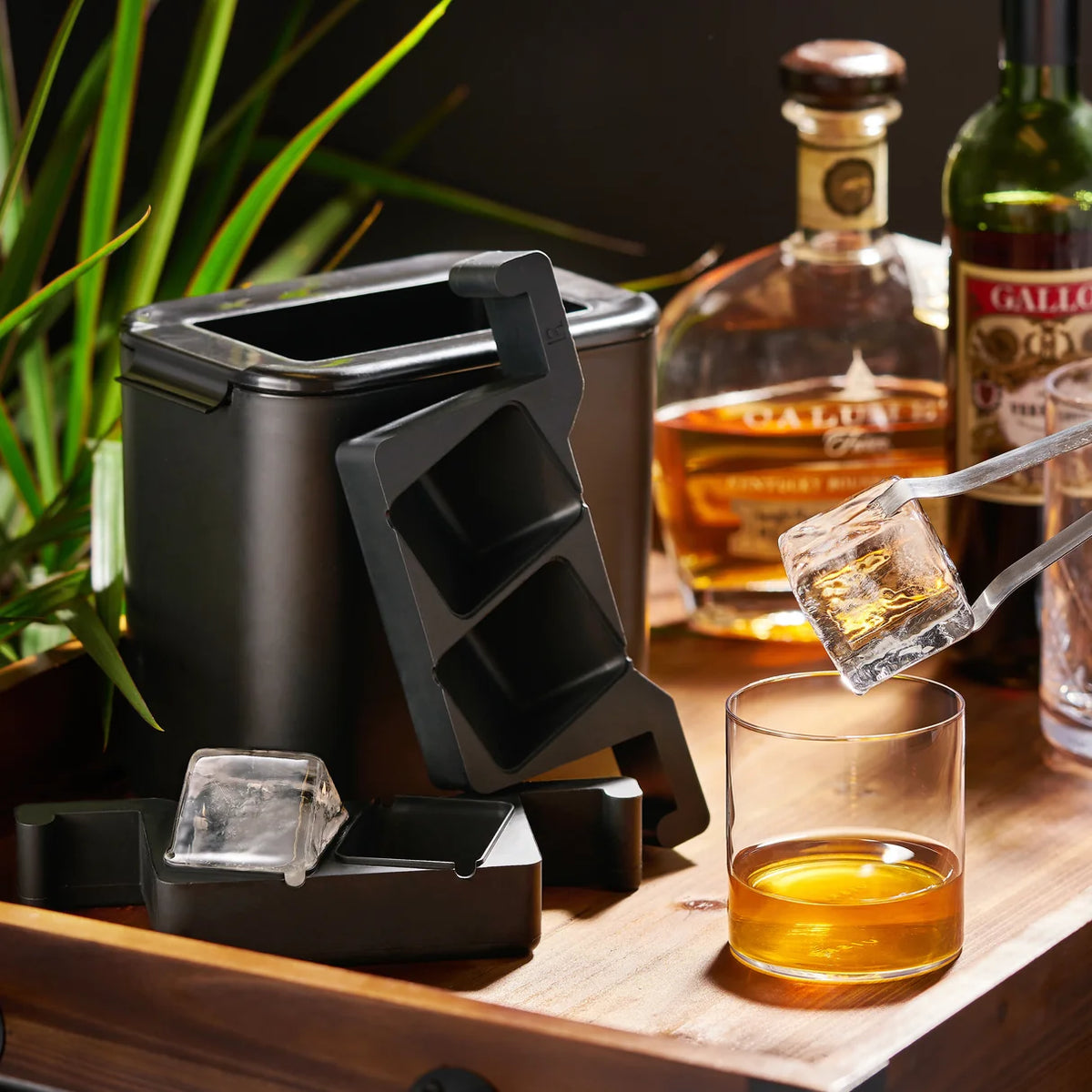 Molde para Cubos de Hielo Cristalinos